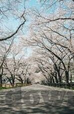 2012中文字幕完整免费视频-2012，一场震撼心灵的科幻之旅