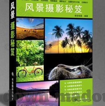 大象传媒APP官方下载-探索大象传媒APP，连接世界的视听盛宴