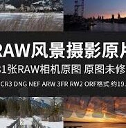 麻豆1111传媒-探寻麻豆1111传媒的多元魅力与创新路径