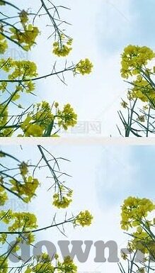 麻豆传媒视频免费看-解锁娱乐新视界，免费欣赏麻豆传媒视频的精彩瞬间