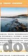 麻豆视频在线观看-连接真相，麻豆视频的魅力探索