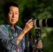 麻豆污视频-浅议网络视频内容的安全边际与自主选择