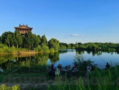 免费视频麻豆免费-免费视频麻豆之旅——解锁创意与共享的社交新风尚