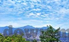 台湾大象传媒app-台湾大象传媒app，数字时代的文化桥梁与创意平台