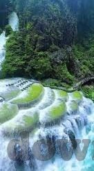 追妻三人行大运-追妻三人行，一场笑料百出的大运之旅